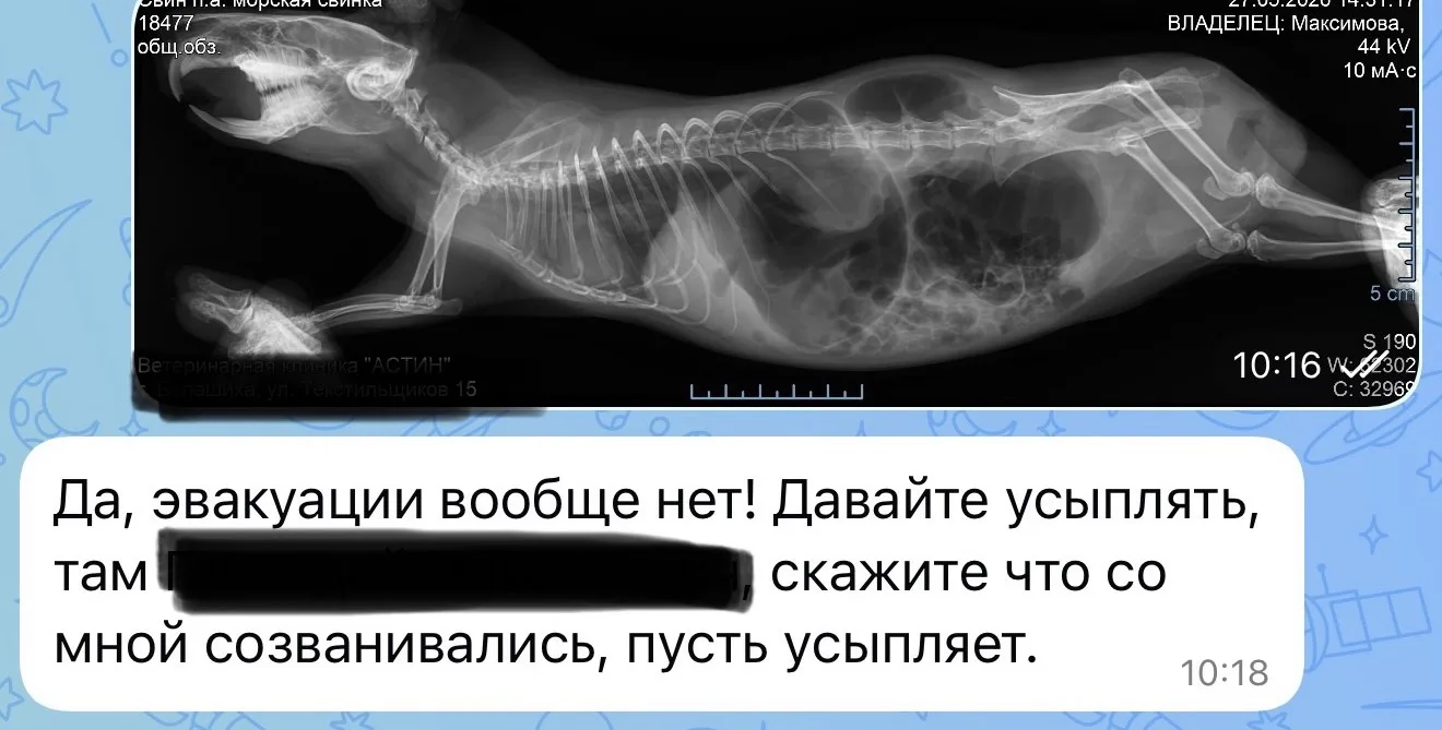 Изображение из сообщения канала