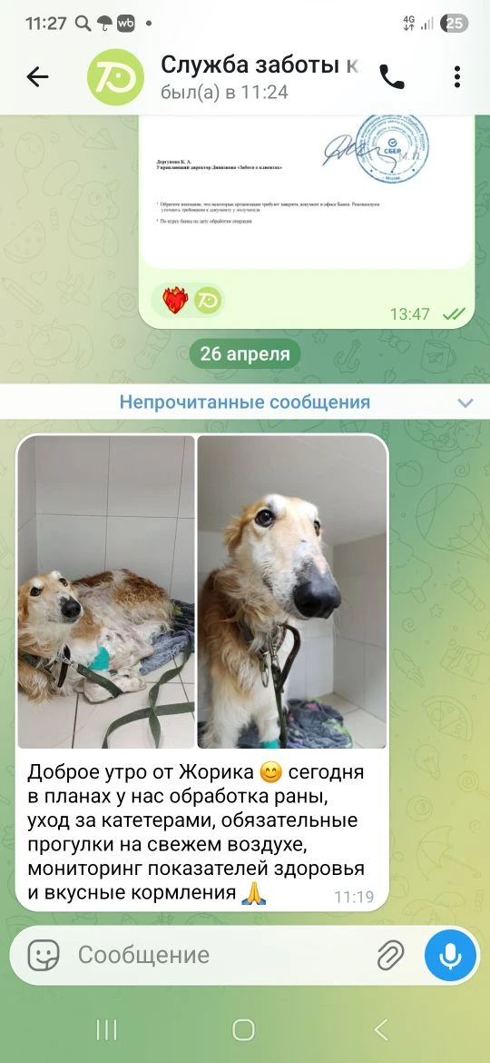 Изображение из сообщения канала