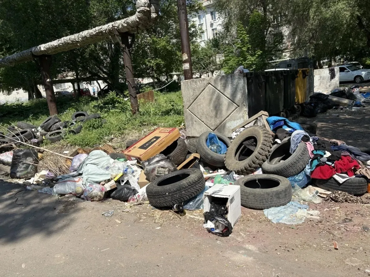 В адрес Уполномоченного поступают обращения жителей областного центра и муниципальных районов по вопросу содержания контейнерных площадок и несвоевременного вывоза мусора