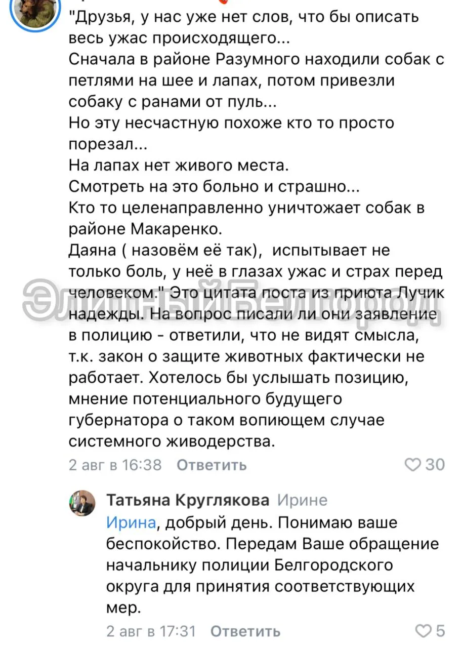 Изображение из сообщения канала