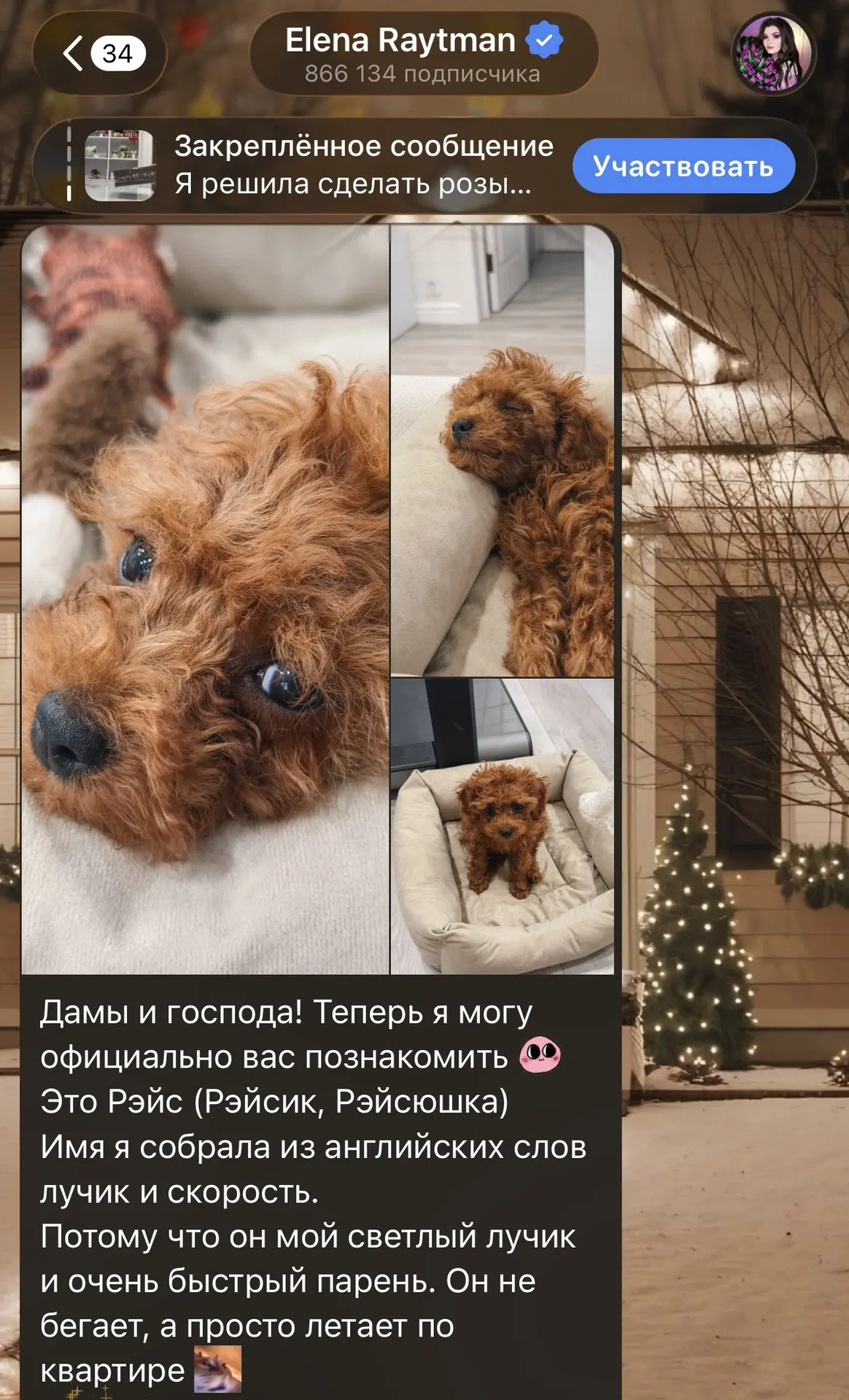 Изображение из сообщения канала