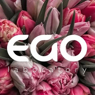 Ego lab