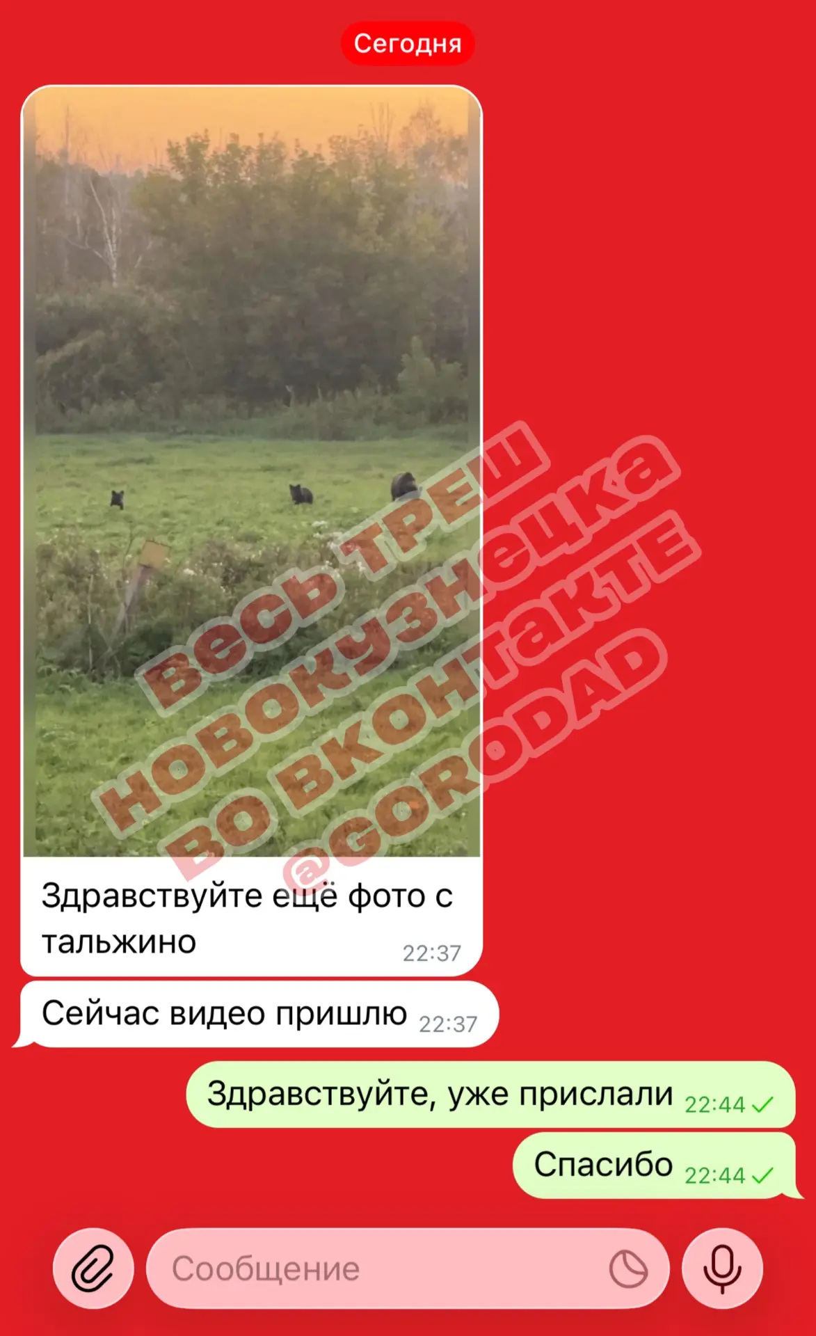 Изображение из сообщения канала