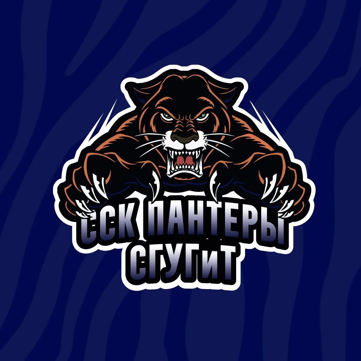 Логотип канала