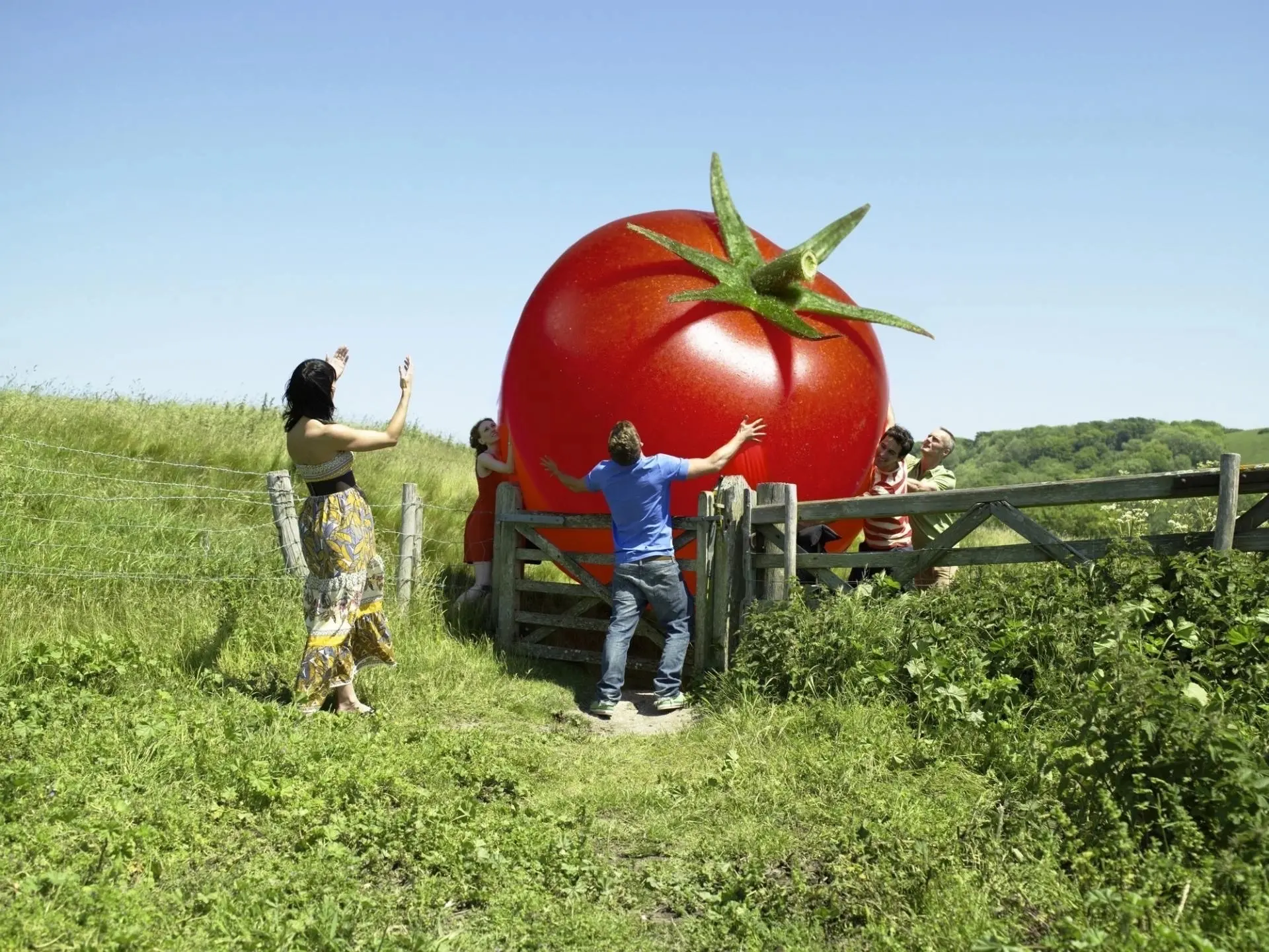Наша дача | Сад | Огород