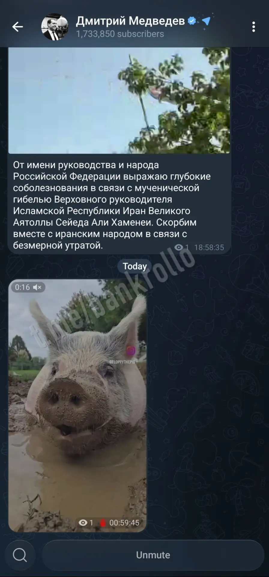 Изображение из сообщения канала