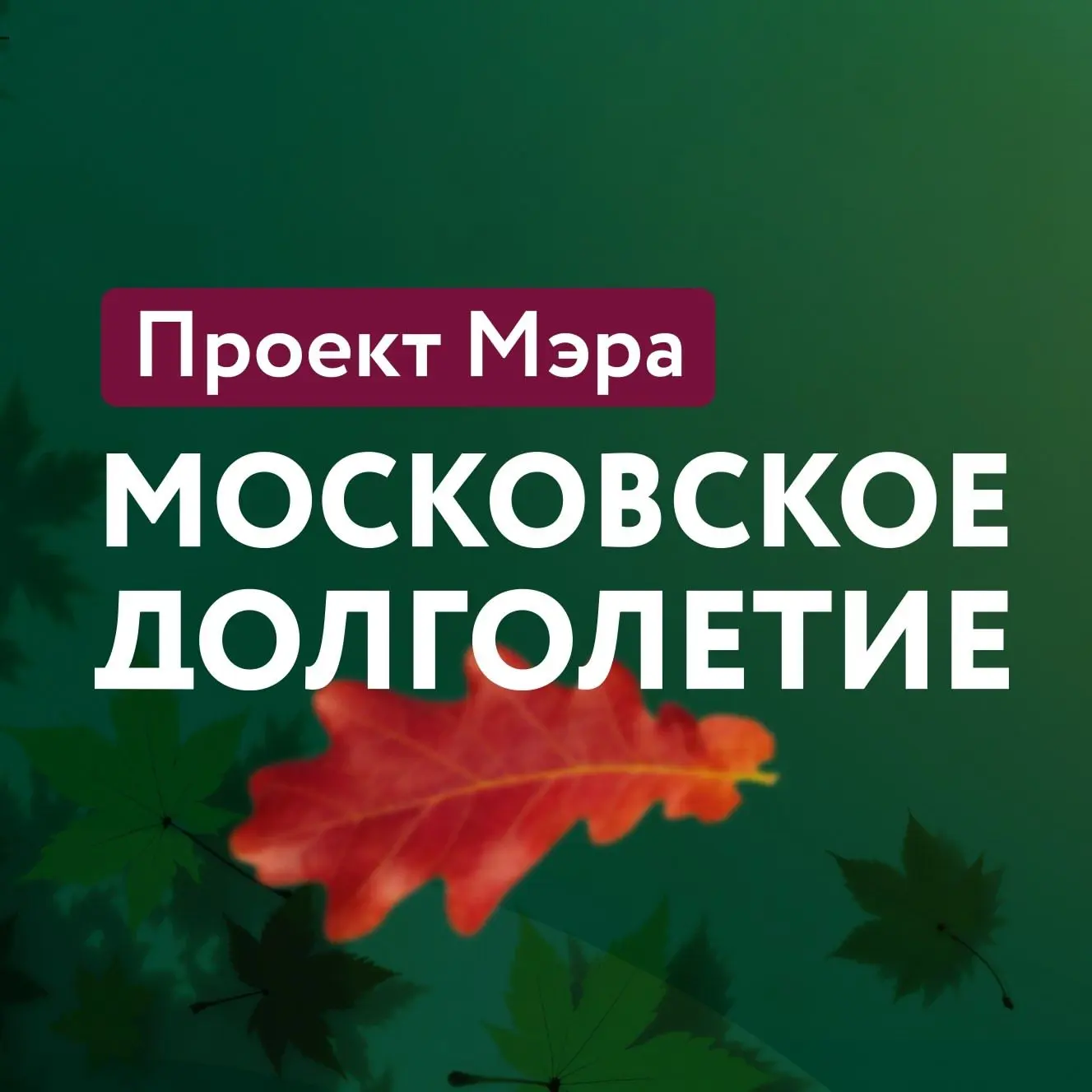 Логотип канала Московское долголетие