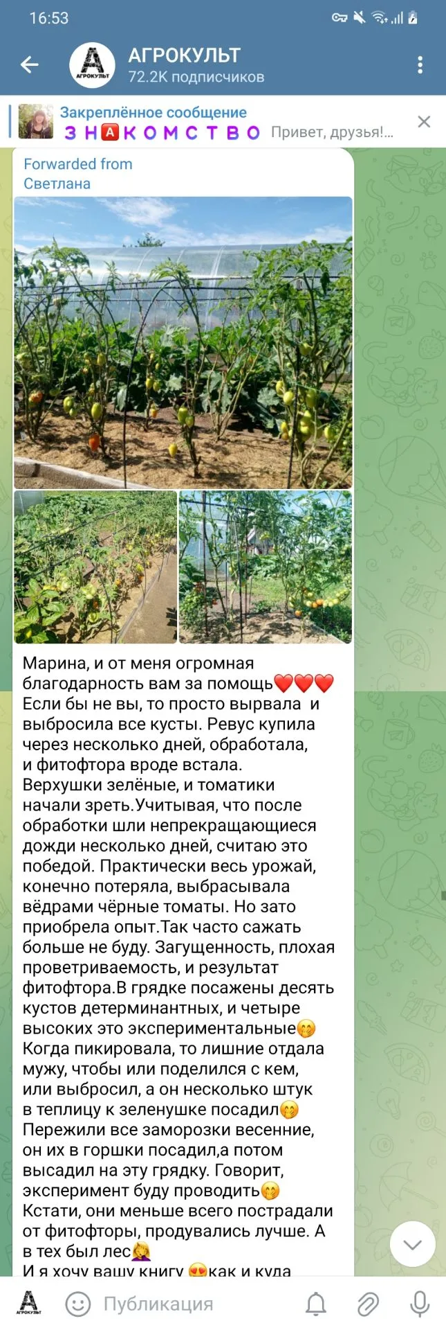 Изображение из сообщения канала