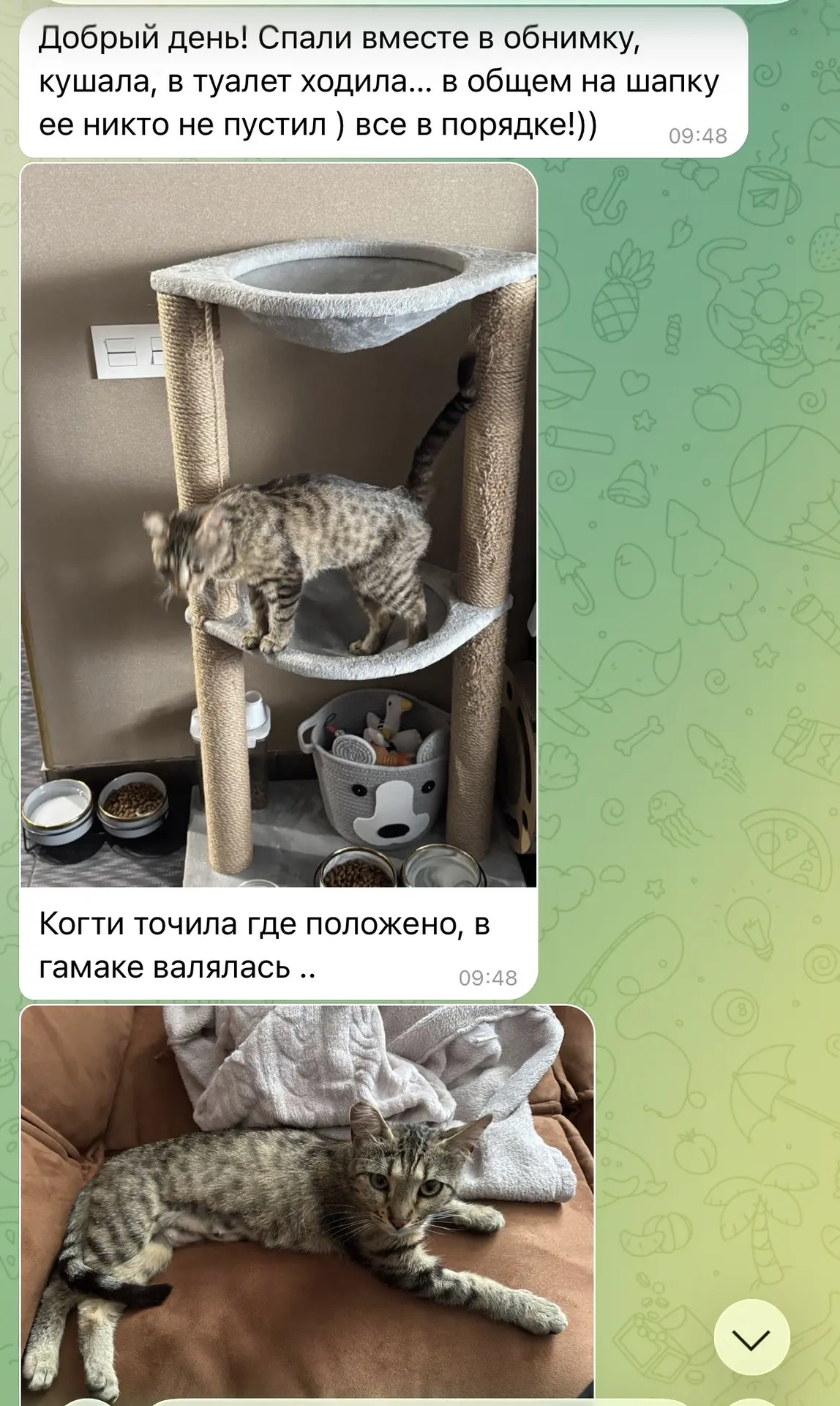 Изображение из сообщения канала