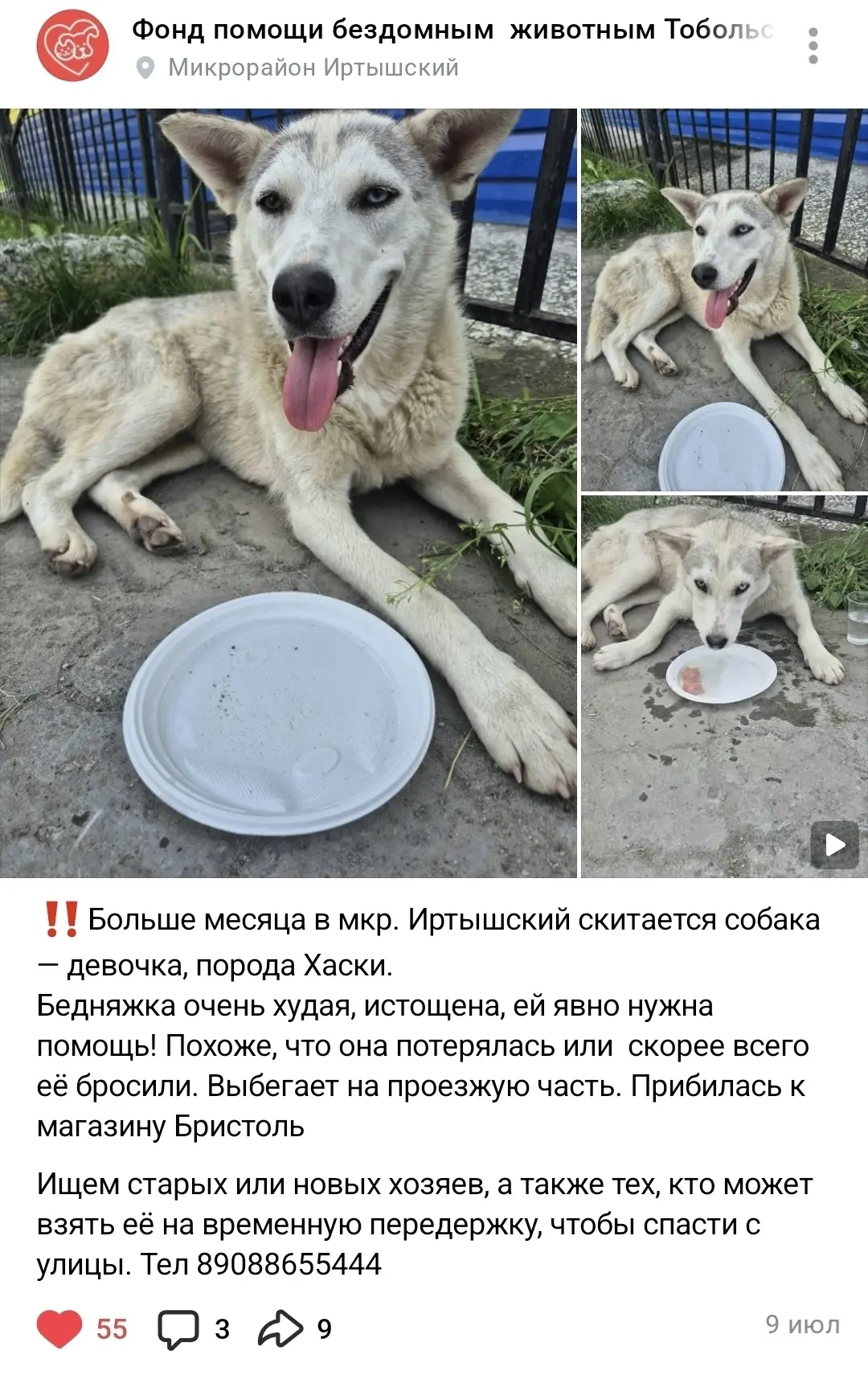 Изображение из сообщения канала
