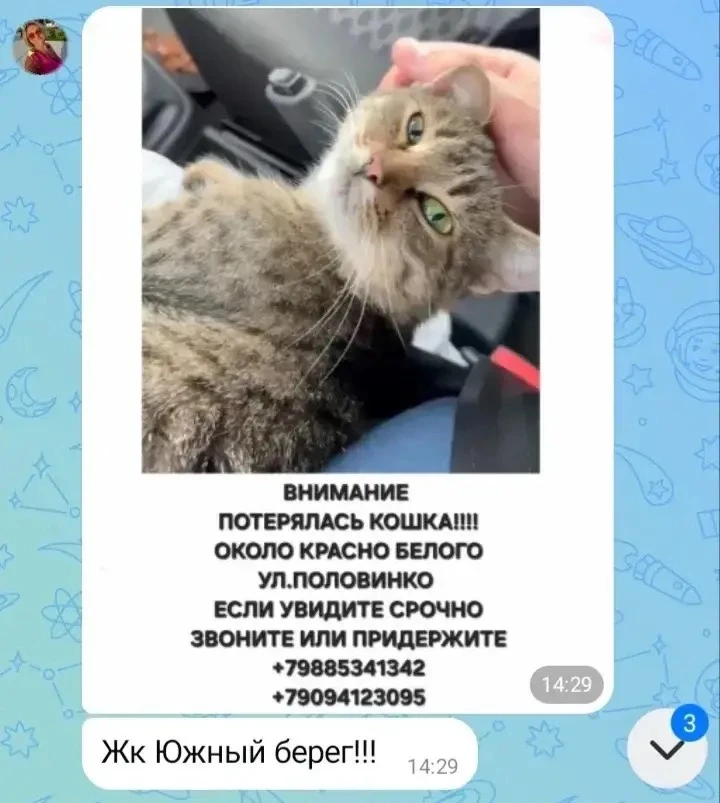 Изображение из сообщения канала