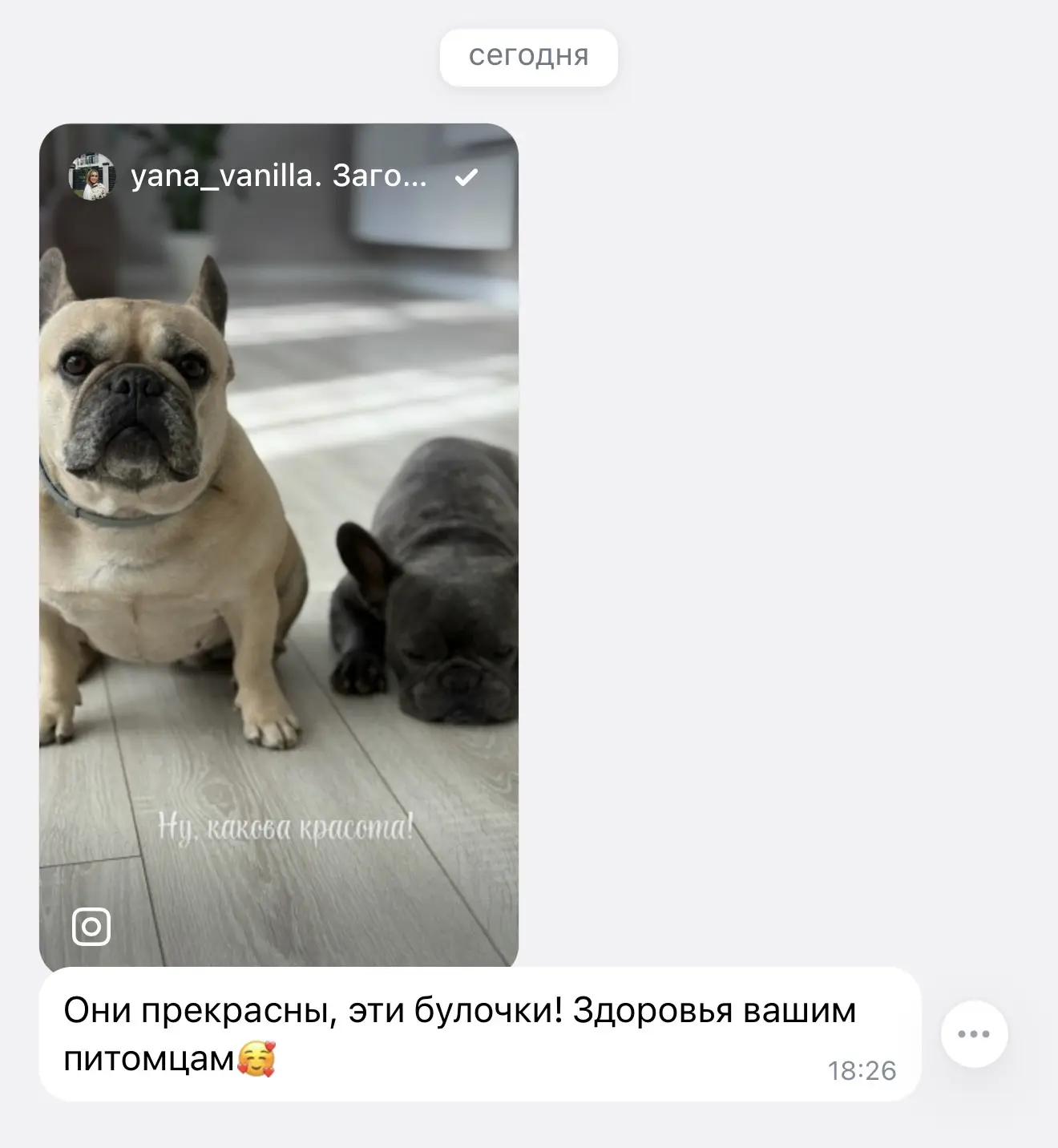 Изображение из сообщения канала
