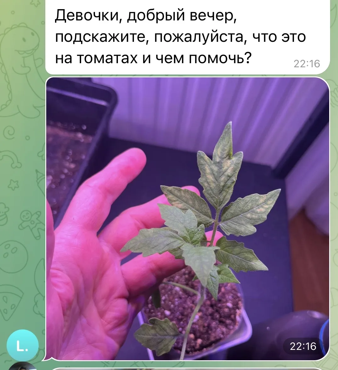 Изображение из сообщения канала