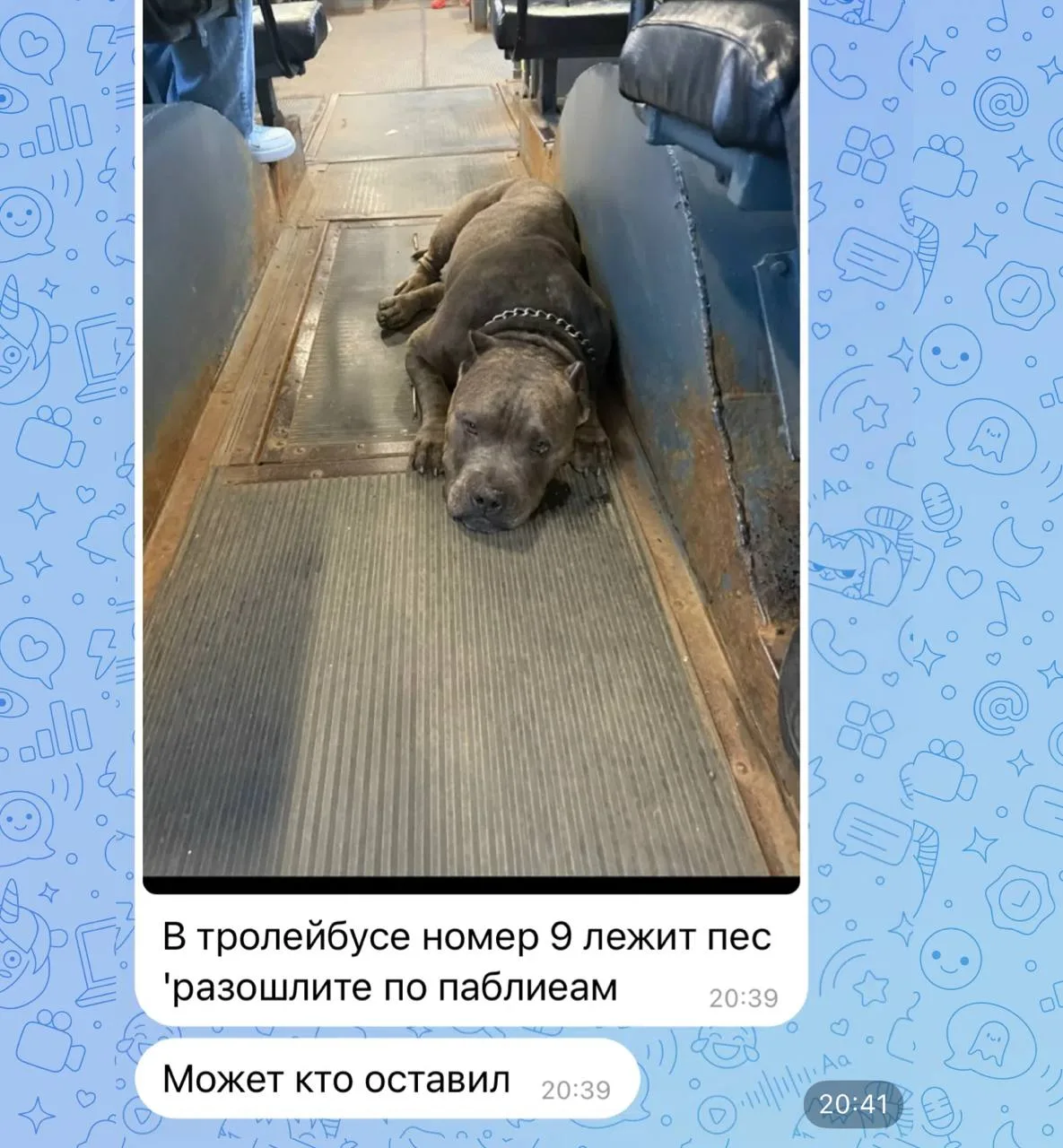 Изображение из сообщения канала