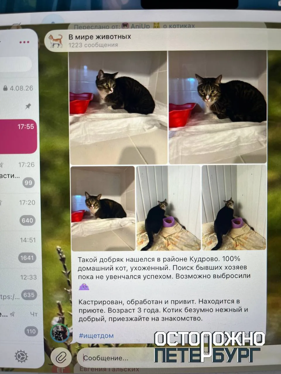 Изображение из сообщения канала