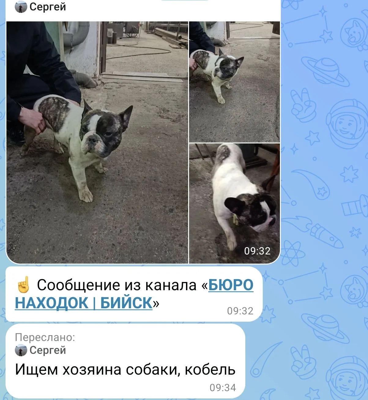 Изображение из сообщения канала
