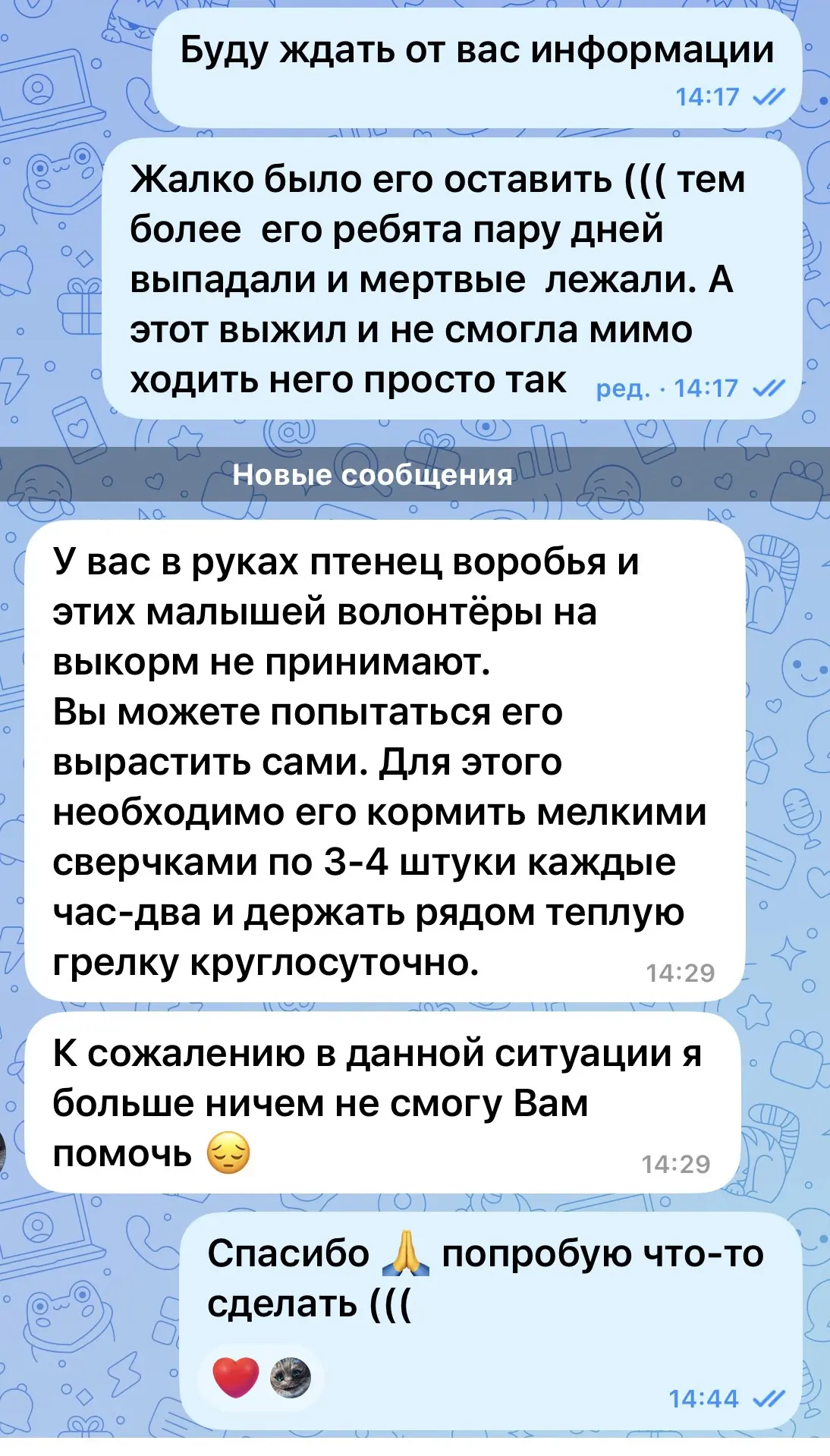 Изображение из сообщения канала