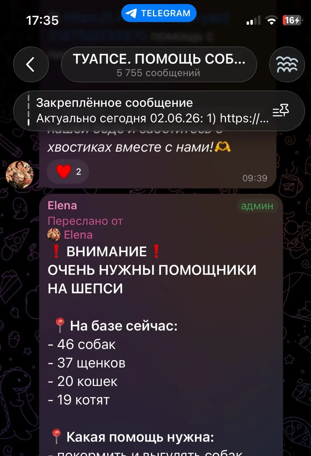 Изображение из сообщения канала