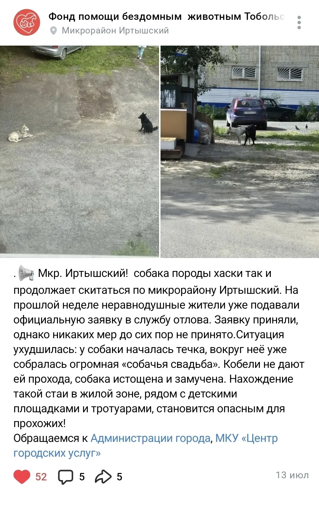 Изображение из сообщения канала