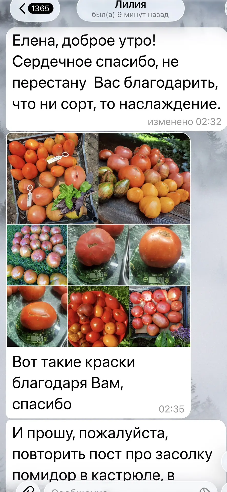 Изображение из сообщения канала
