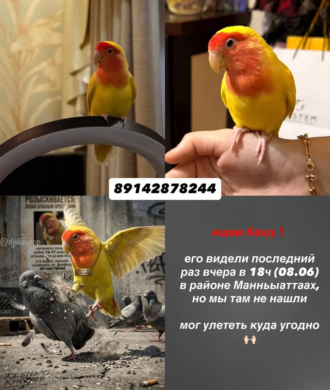 Изображение из сообщения канала