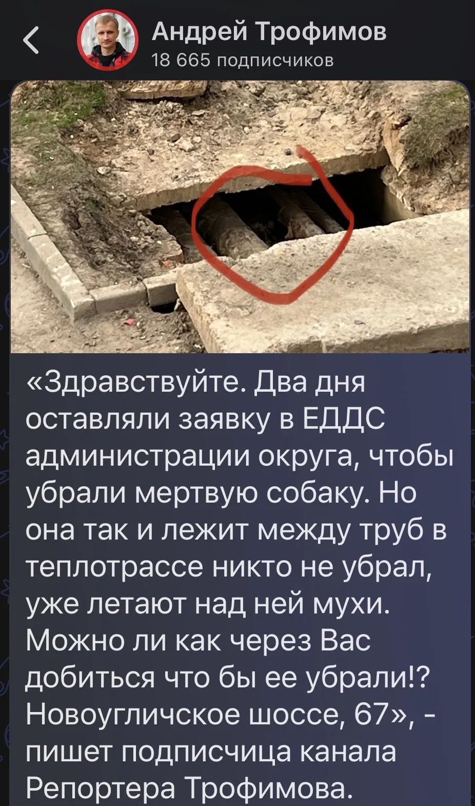 Изображение из сообщения канала