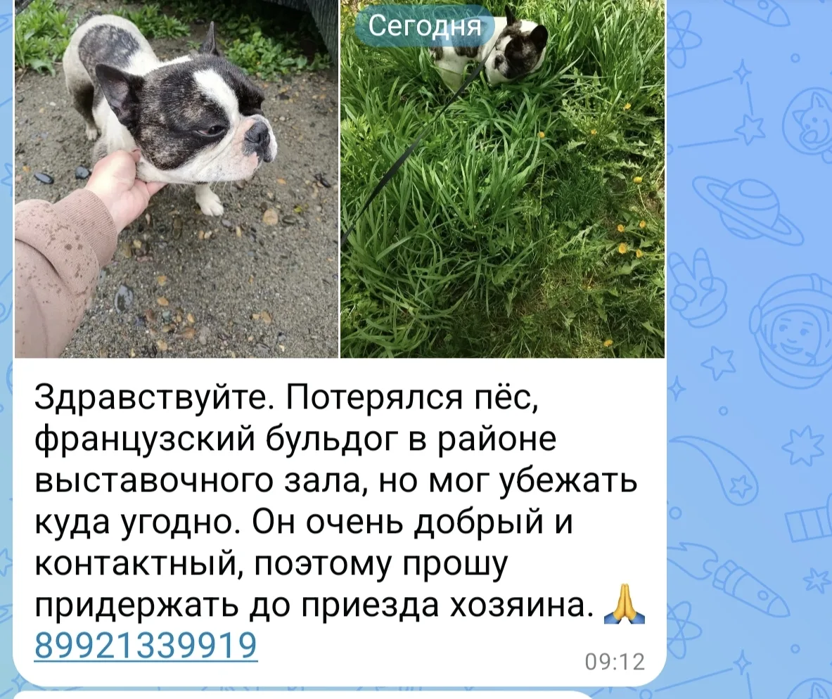Изображение из сообщения канала