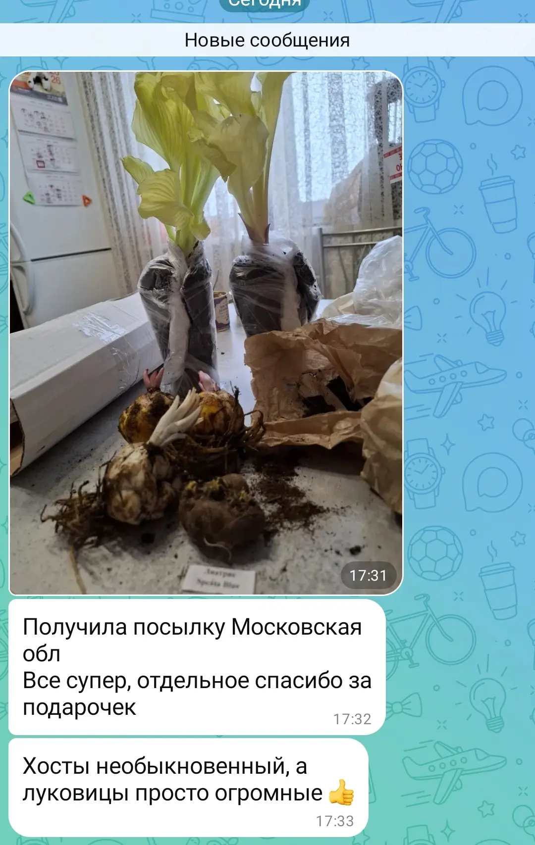 Изображение из сообщения канала