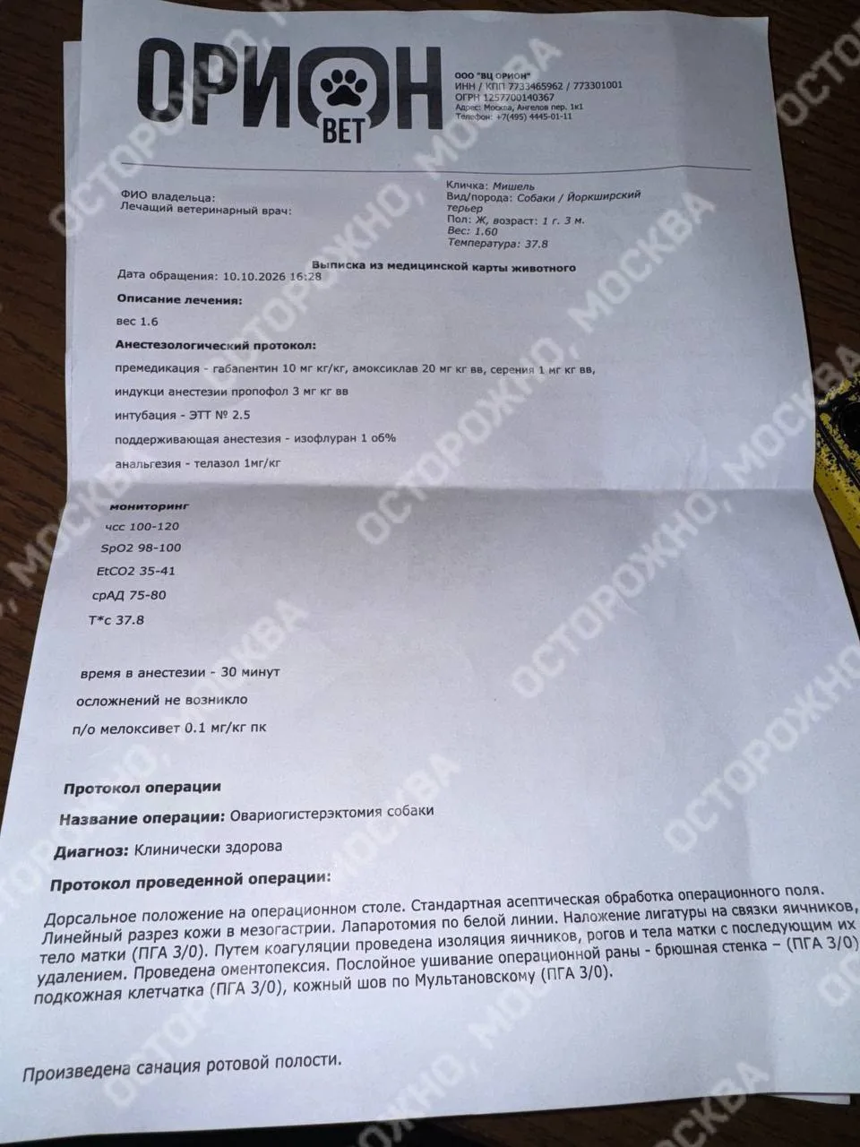 Изображение из сообщения канала