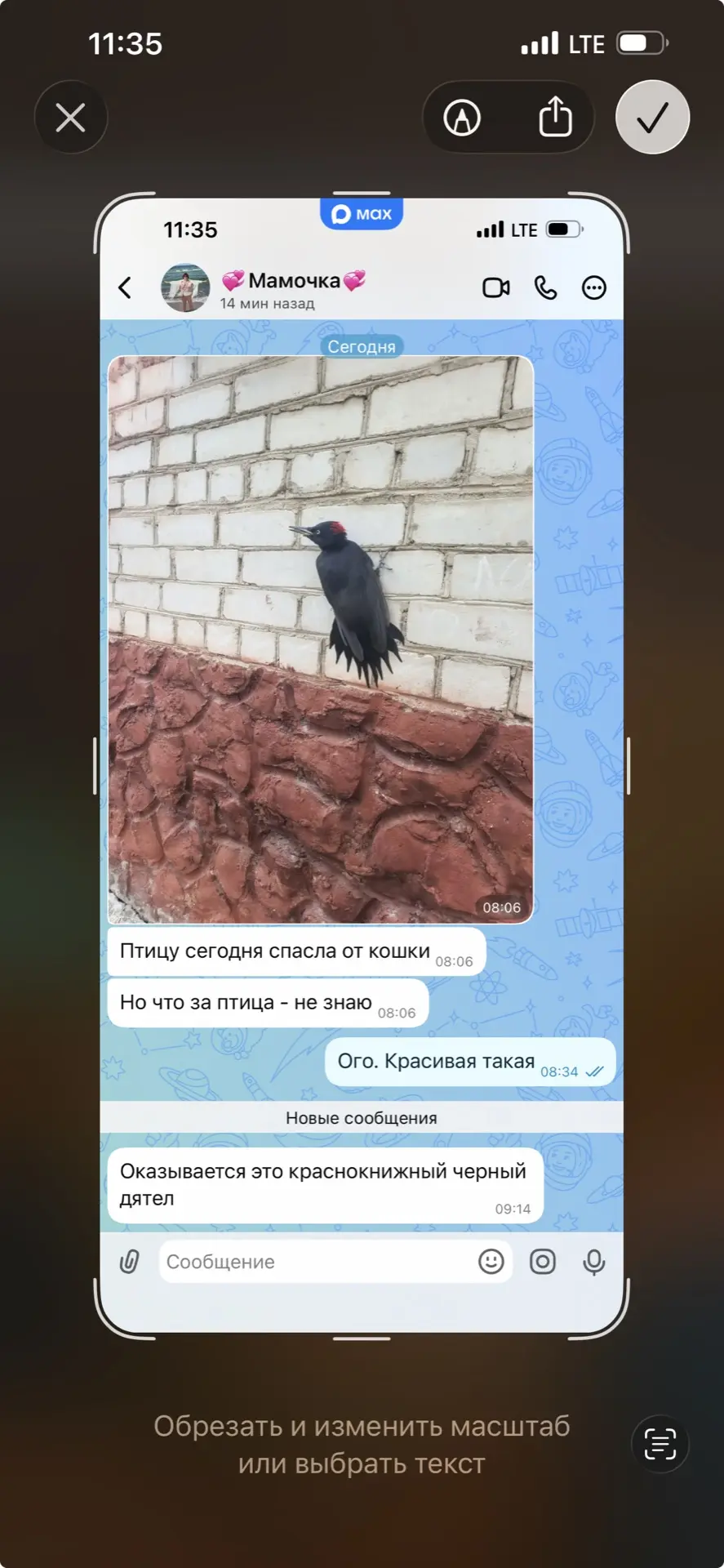 Изображение из сообщения канала
