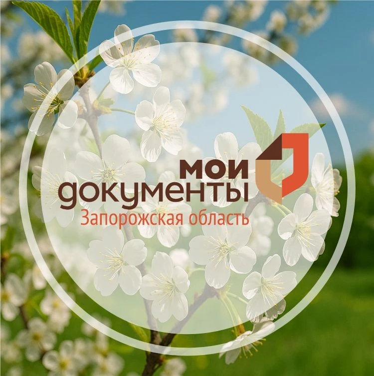 Фотография канала Max Мои Документы Запорожская область