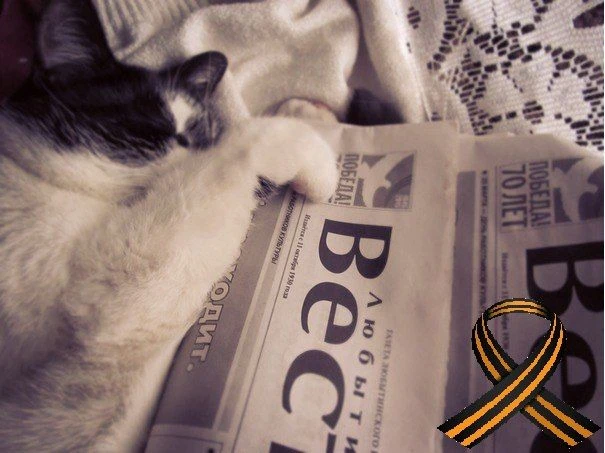 Любытинские вести | Любытинский округ