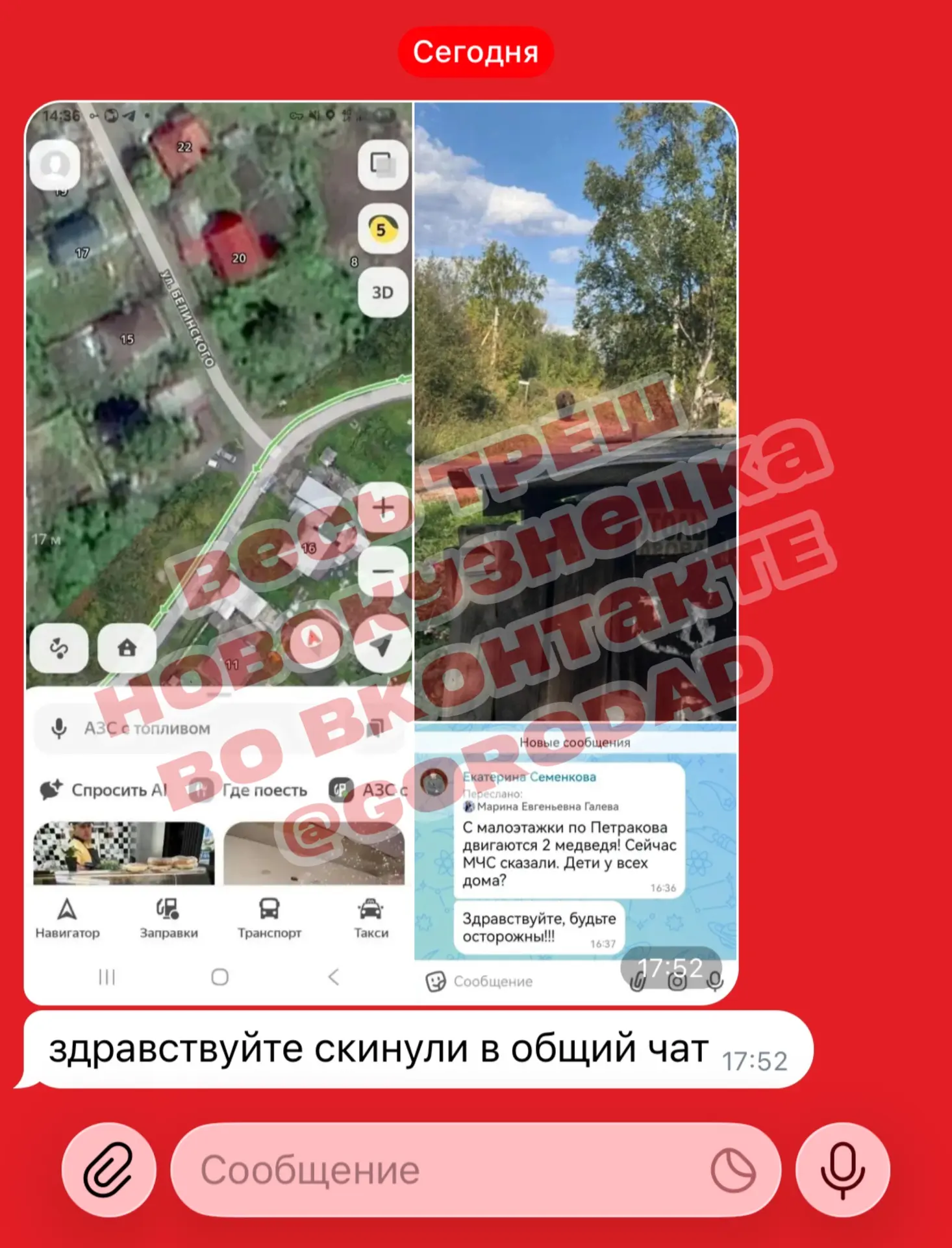 Изображение из сообщения канала