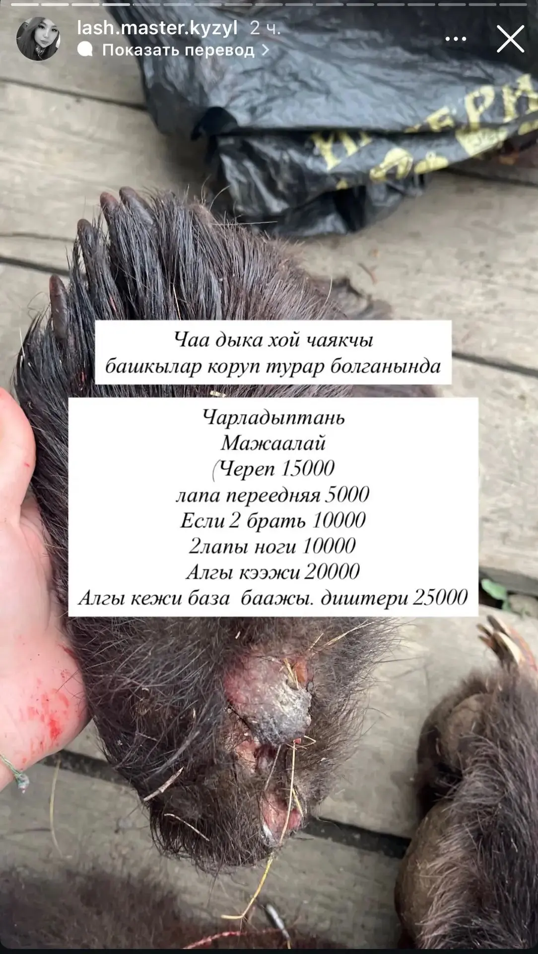 Изображение из сообщения канала
