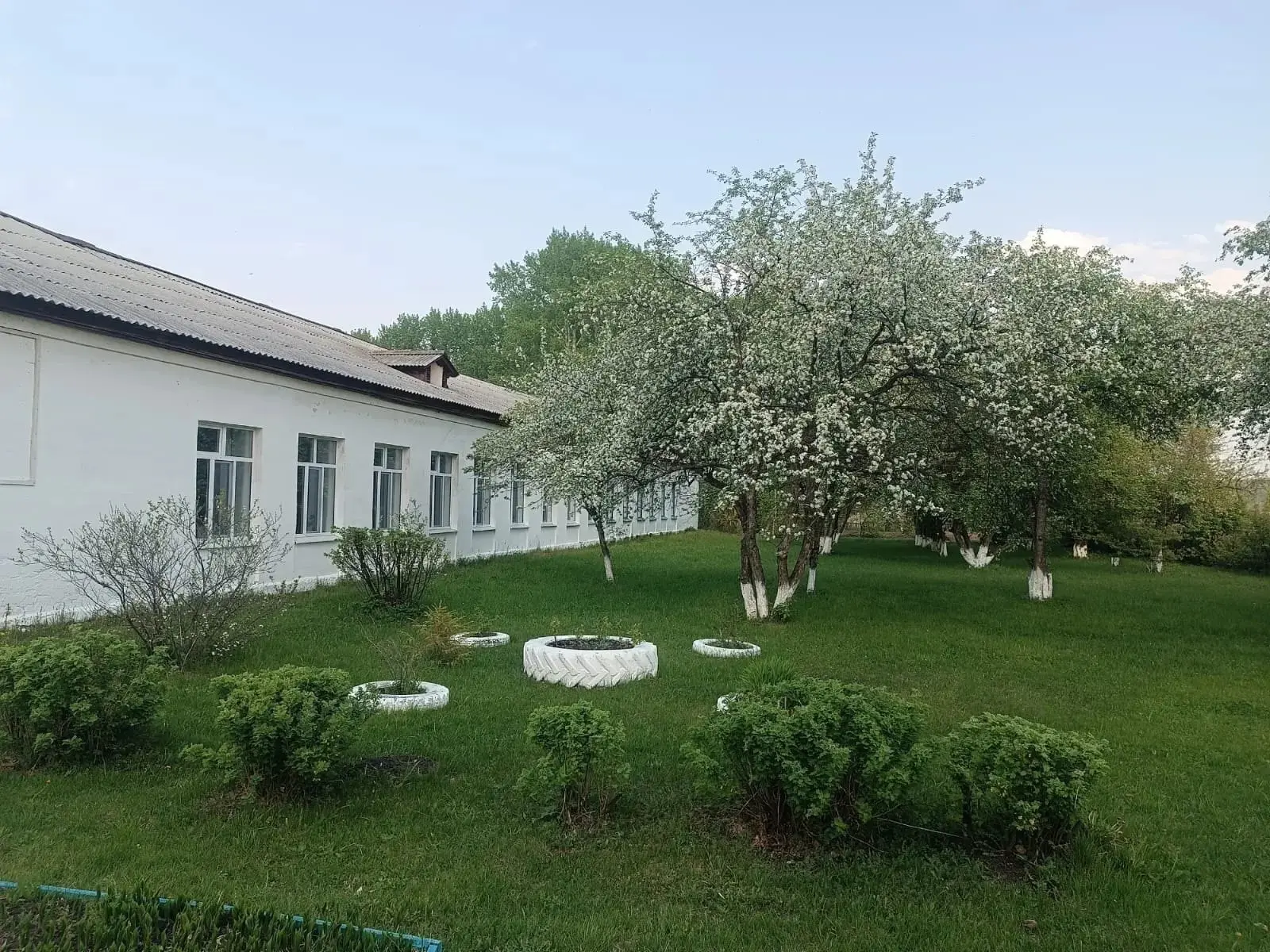 Логотип канала