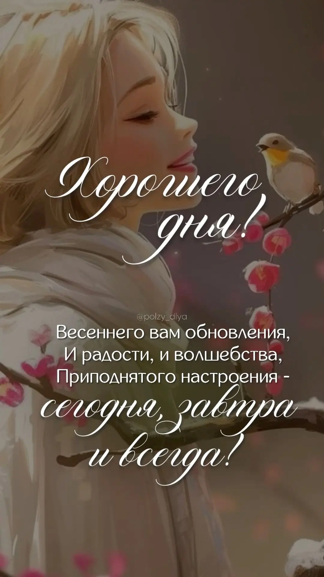 Изображение из сообщения канала