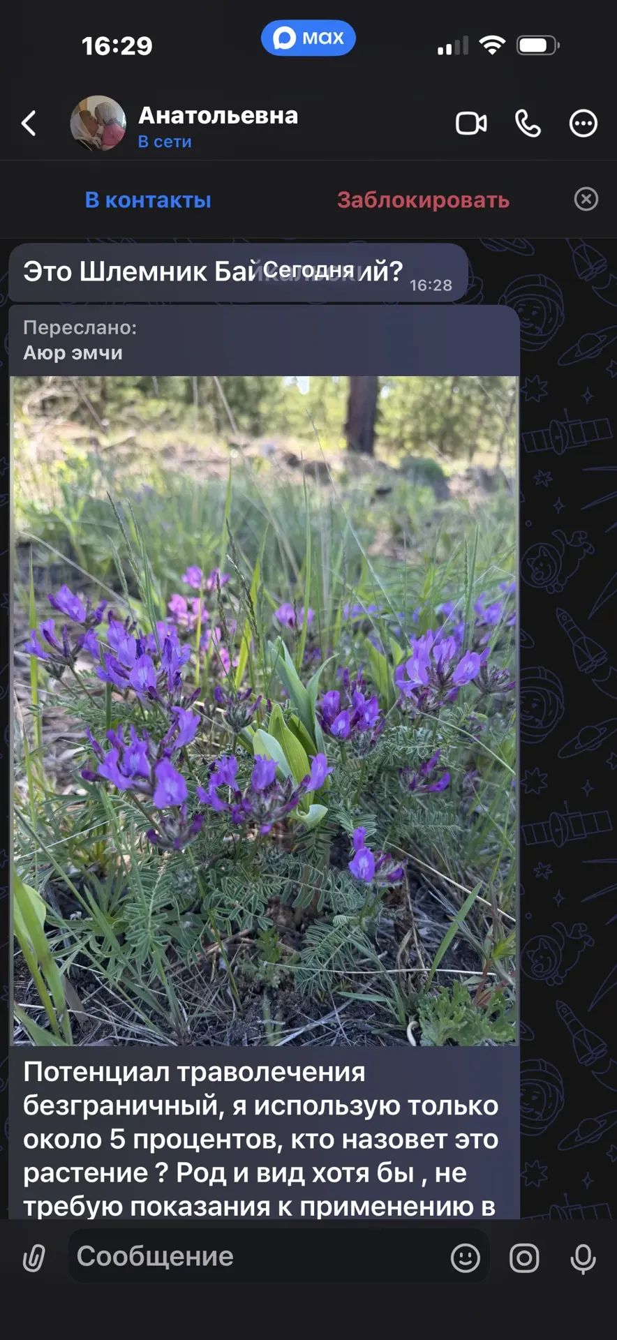 Изображение из сообщения канала