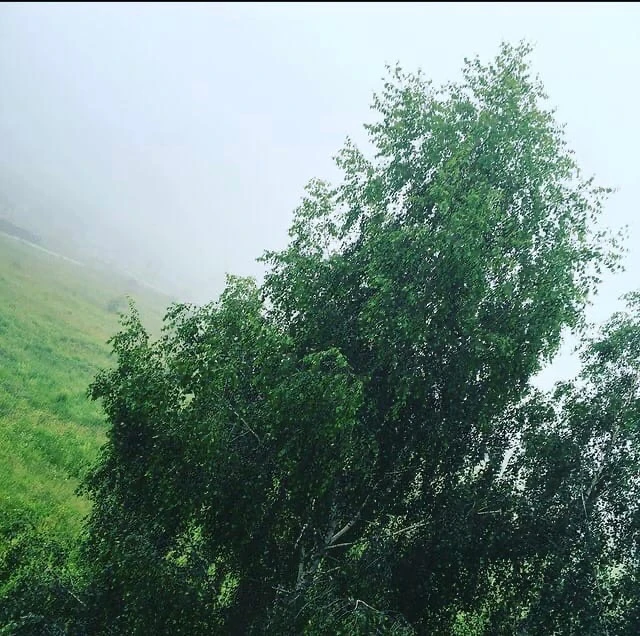 Логотип