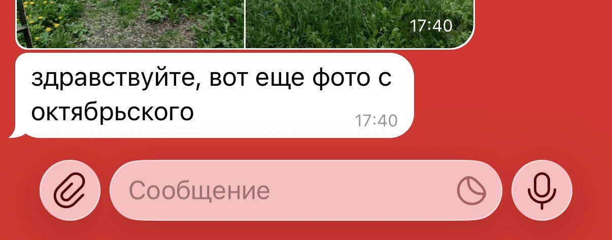 Изображение из сообщения канала
