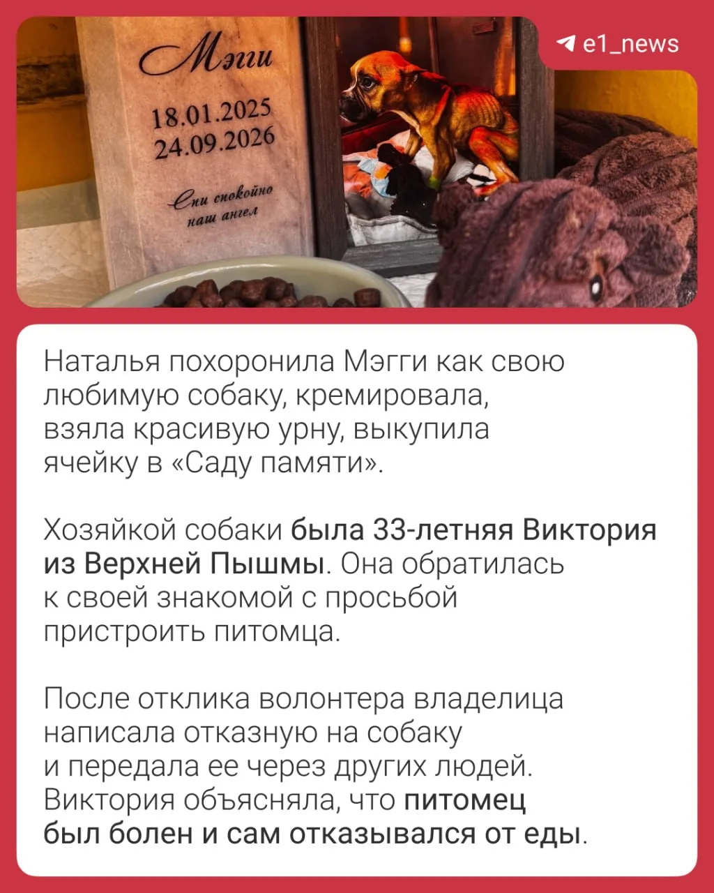 Изображение из сообщения канала