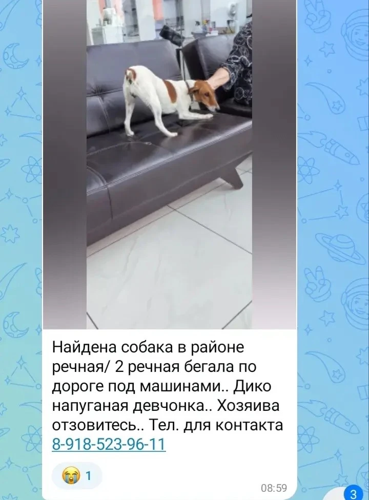Изображение из сообщения канала