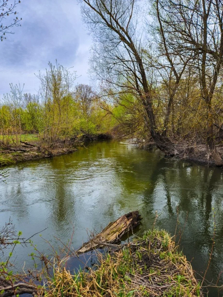 Администрация Междуреченского МО