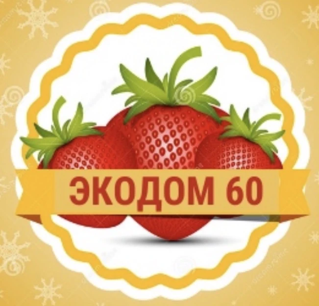 Клубника Малина САЖЕНЦЫ «ЭКОДОМ 60»
