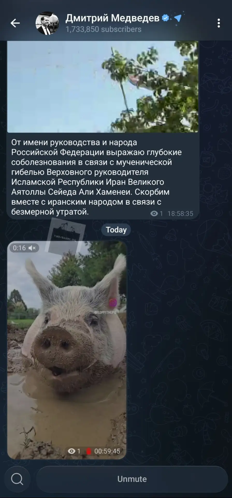 Изображение из сообщения канала