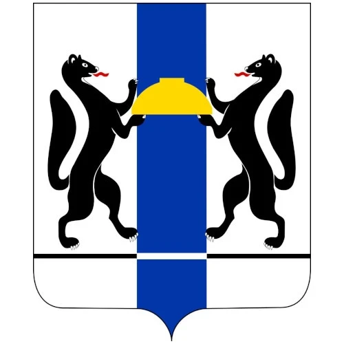 Поддержка для СВОих в НСО