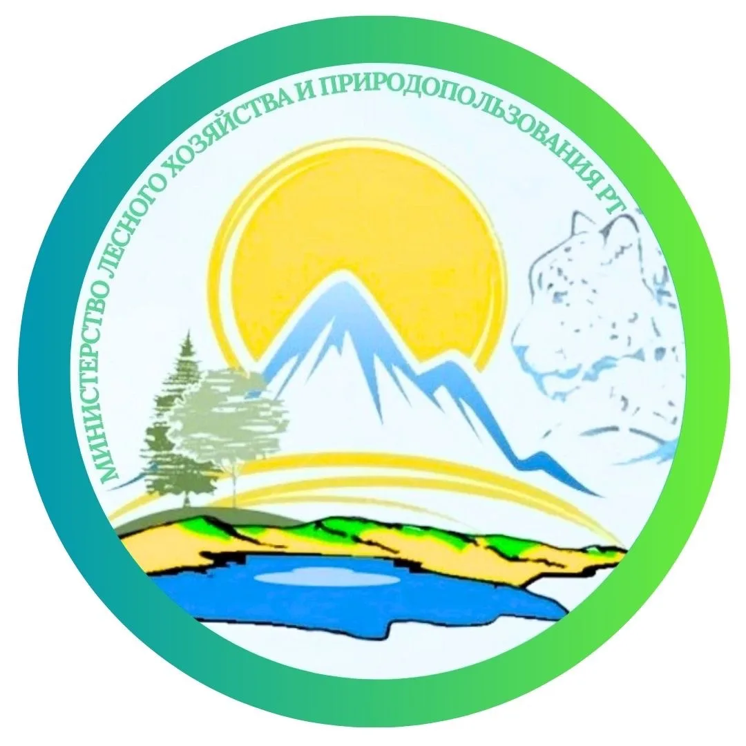 Логотип канала