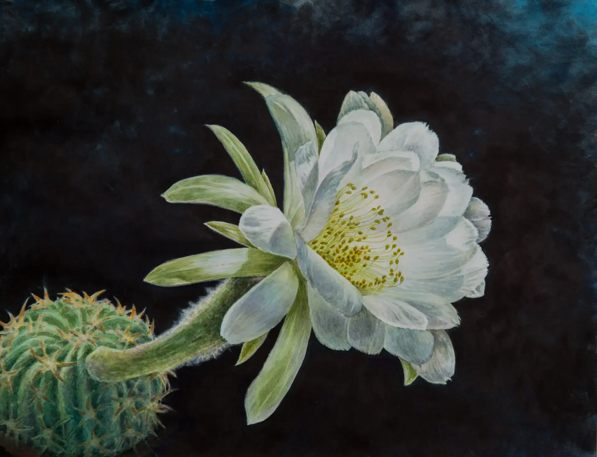 Логотип канала