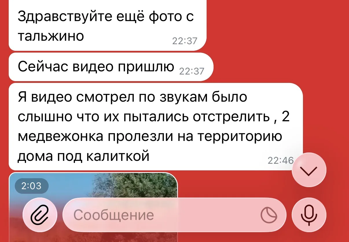 Изображение из сообщения канала