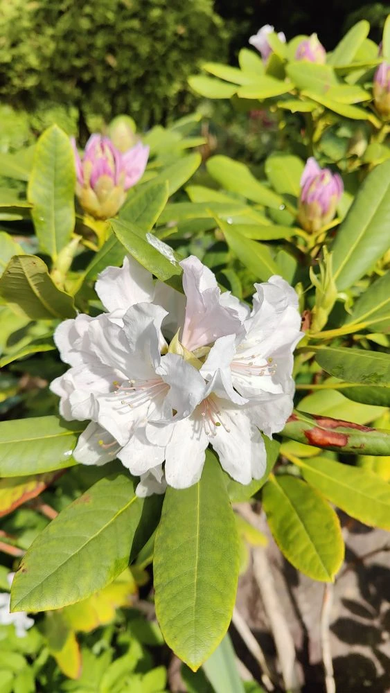 Фото 3