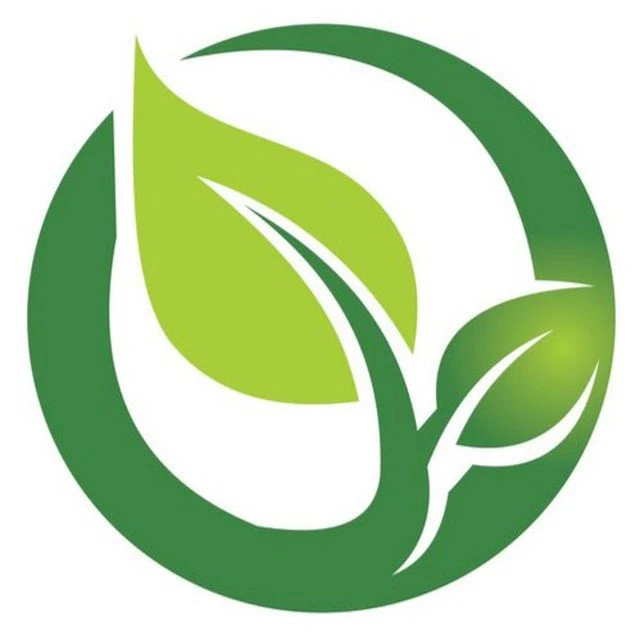 Зелёная 🍃 повестка / Электромобили